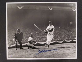 Ted Williams Autographed Photo (16 x 20)