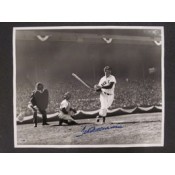 Ted Williams Autographed Photo (16 x 20)